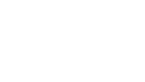 Seminuevos Premium